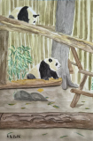 Les Pandas